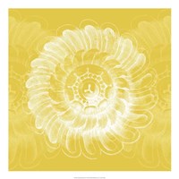 Chromatic Rosette IV Fine Art Print