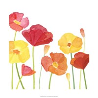 Simply Poppies I Fine Art Print