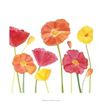 Simply Poppies II Fine Art Print