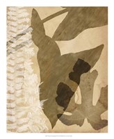 Pressed Leaf Assemblage III Fine Art Print