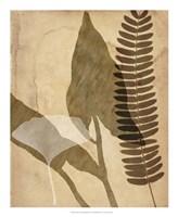 Pressed Leaf Assemblage IV Fine Art Print