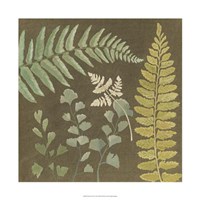 Earth & Fern II Fine Art Print