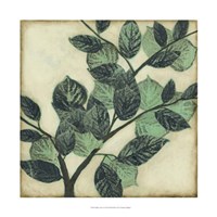 Graphic Leaves I Framed Print