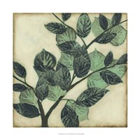 Graphic Leaves I Fine Art Print