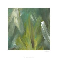 Changing Light I Fine Art Print