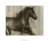 Dynamic Stallion I Framed Print