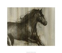 Dynamic Stallion I Fine Art Print