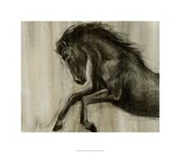 Dynamic Stallion II Framed Print