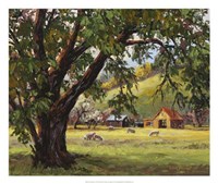 Quiet Meadow Fine Art Print