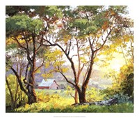 Burnished Landscape Fine Art Print