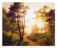 Gilded Pathway Fine Art Print