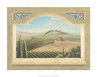 Vineyard Window III Framed Print