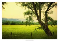 Morning at the Cove I Fine Art Print