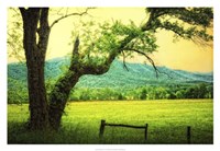 Morning at the Cove II Fine Art Print