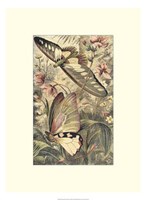 Dancing Butterfly I Fine Art Print