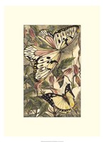 Dancing Butterfly II Fine Art Print