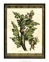 Leaves of Elegance I Framed Print
