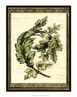 Leaves of Elegance II Framed Print