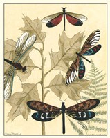 Graphic Dragonflies in Nature I Fine Art Print
