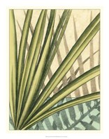 Tropical Shade II Fine Art Print