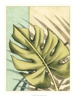 Tropical Shade III Fine Art Print
