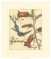 Hummingbird Reverie I Fine Art Print