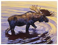 Alaskan Gold Fine Art Print