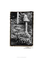 American Breeze V Fine Art Print