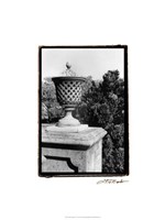 Garden Elegance VI Fine Art Print