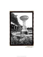 Garden Elegance VII Fine Art Print