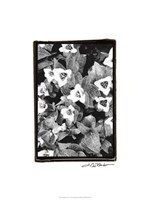 Springtime Garden I Fine Art Print