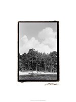 Serene Lake V Fine Art Print