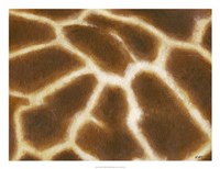 Giraffe I Fine Art Print