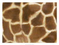 Giraffe II Fine Art Print