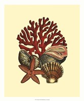 Coral Medley I Framed Print