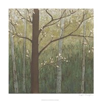 Hudson River Forest I Framed Print