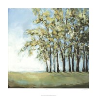 Tree in Summer Fine Art Print