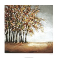 Tree in Fall Fine Art Print