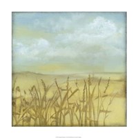 Through the Wheatgrass I Framed Print