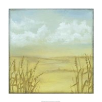 Through the Wheatgrass II Framed Print