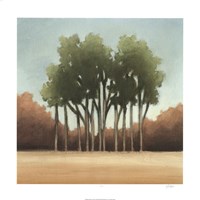 Stand of Trees I Fine Art Print