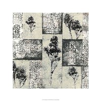Toile Redone III Fine Art Print
