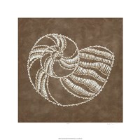 Embroidered Shells II Fine Art Print