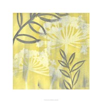 Saffron Floral II Framed Print