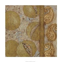 Gilded Sari IV Fine Art Print
