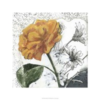 Blossom Montage II Fine Art Print