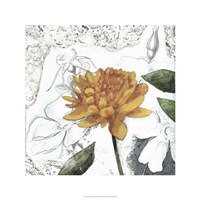 Blossom Montage III Fine Art Print