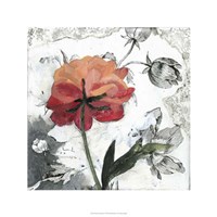 Blossom Montage IV Fine Art Print