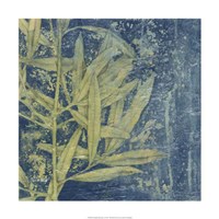 Midnight Illumination I Framed Print