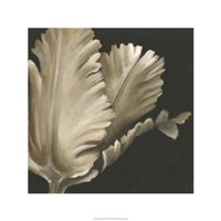 Classical Blooms I Fine Art Print